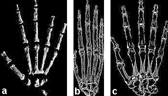 lucy6.gif (12057 bytes)